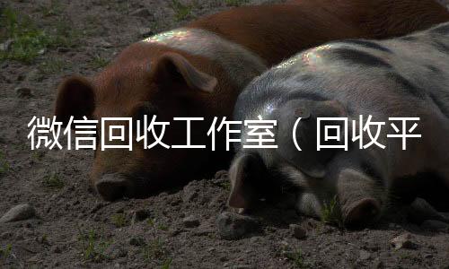 微信回收工24小时收微信作室（回收平台）